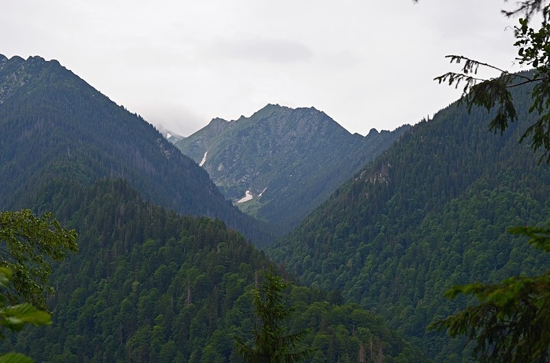 Făgăraș Mountains, Sibiu County, Romania - Romania