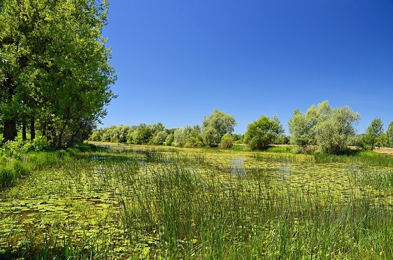Latorica, Košice region, Slovakia - Slovakia