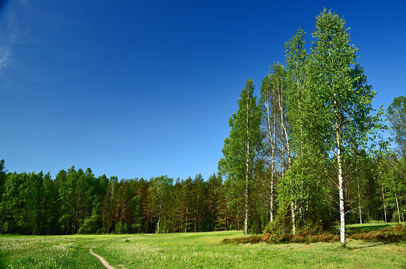 Nuuksio National Park, Uusimaa, Finland - North east Finland
