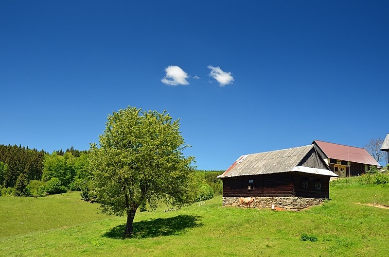 Low Tatras, Slovakia - Slovakia