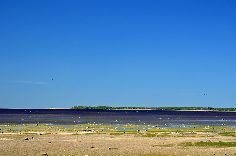 Matsalu National Park, Estonia - Estonia