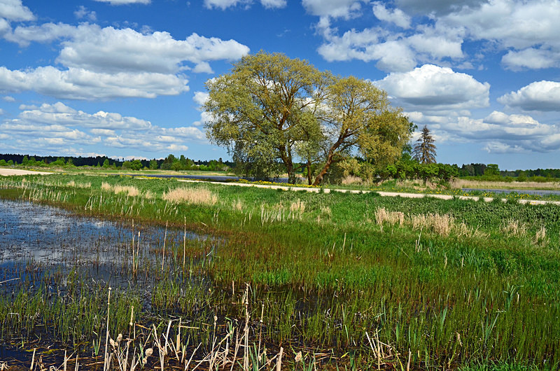 Ilmatsalu, Estonia - Estonia