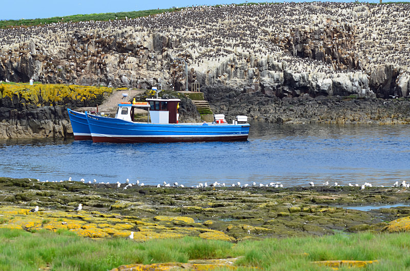 Staple Island, Farne Islands, Northumberland - Sea and sand
