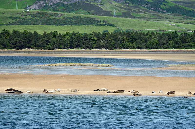 Loch Fleet, Highland - Sea and sand