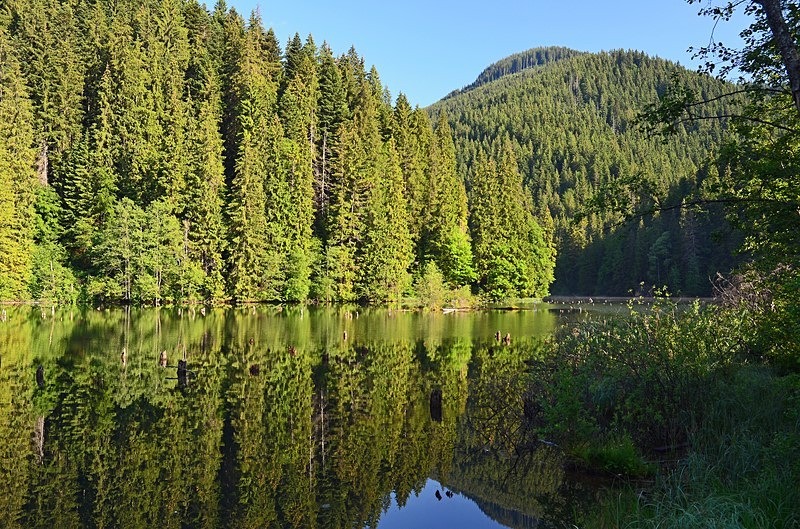 Lacu Roșu, Harghita County, Romania - Romania