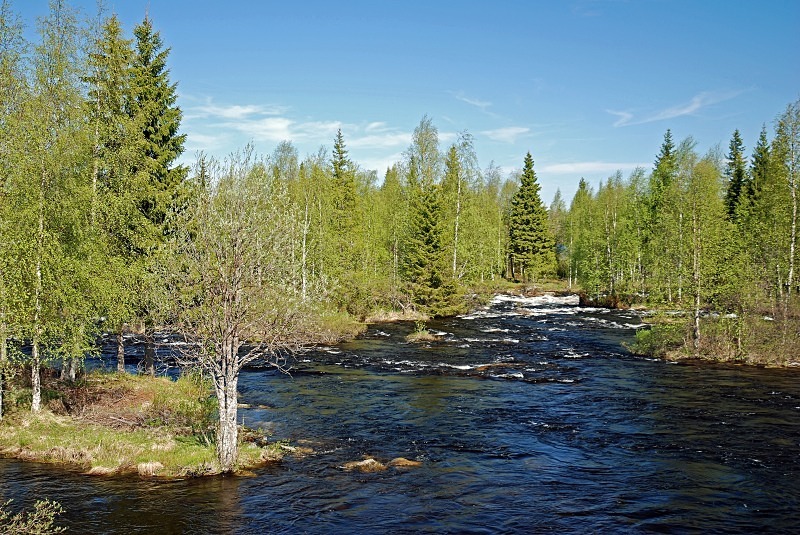 Oulanka National Park, Finland - North Finland and north Norway - May and June 2009