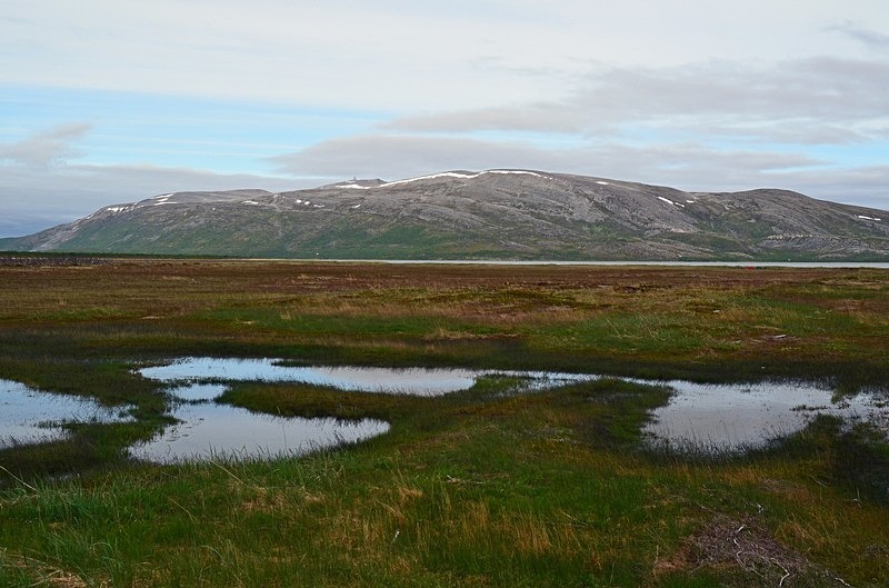 Hoyholmen, Varanger peninsula, Troms og Finnmark, Norway - North Norway