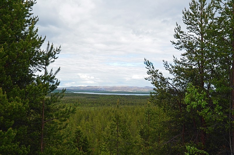 Pasvikdalen, Troms og Finnmark, Norway - North Norway