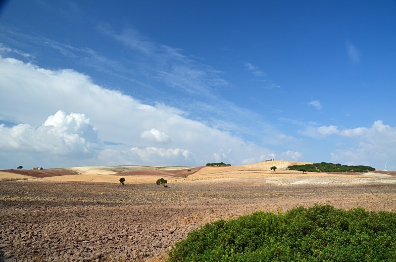 Cadiz province, Andalucia, Spain - South Spain - September 2013