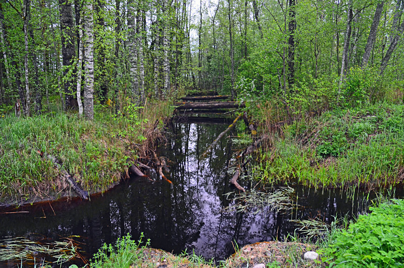 Soomaa National Park, Estonia