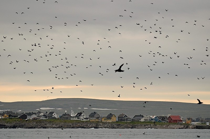 Vardø, Varanger peninsula, Troms og Finnmark, Norway - North Norway