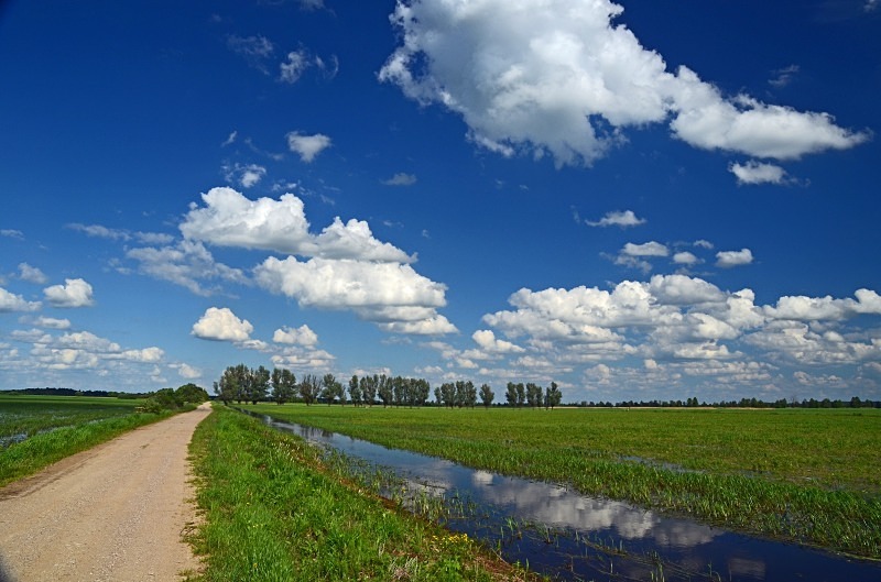 Biebrza, Poland - North east Poland - May 2013