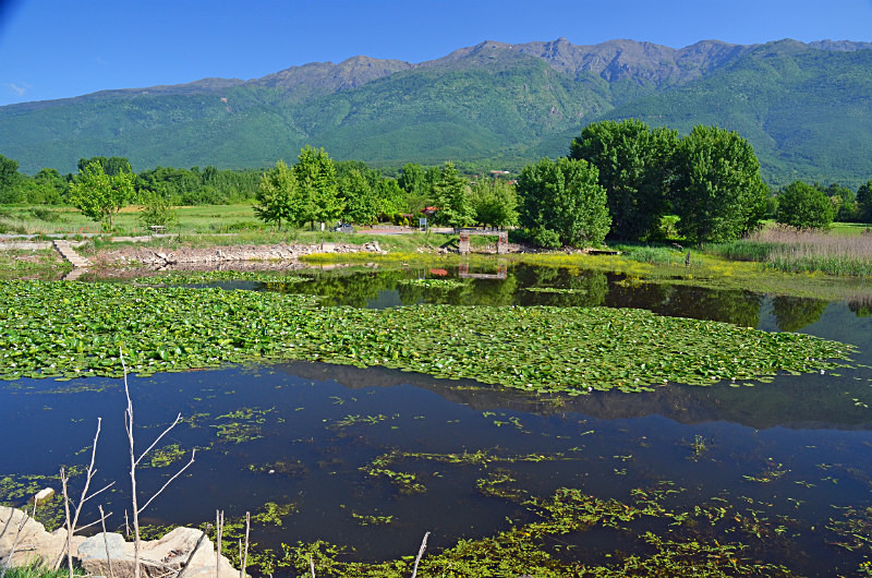 Lake Kerkini, Central Macedonia, Greece - Central Macedonia