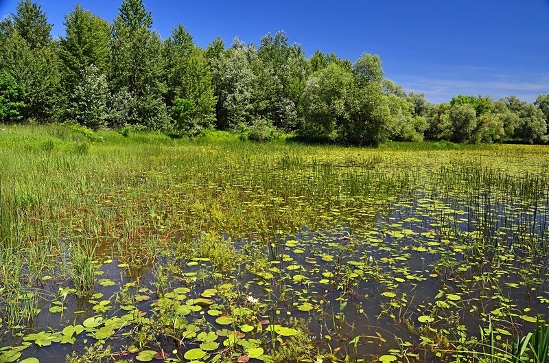 Latorica, Košice region, Slovakia - Slovakia