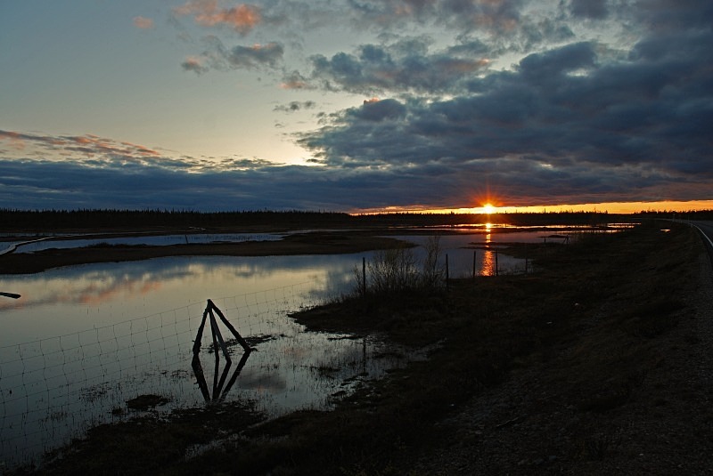 Midnight sun at Petkula Bog, Lappi, Finland - North Finland and north Norway - May and June 2009