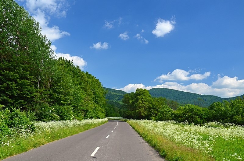 Bukovské Mountains, Prešov region, Slovakia - Slovakia