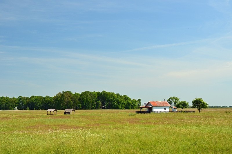 Hortobágy National Park, Hajdú-Bihar county, Hungary - Hungary