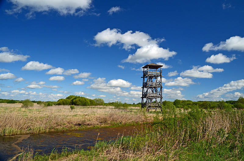 Aardla polder, Estonia - Estonia