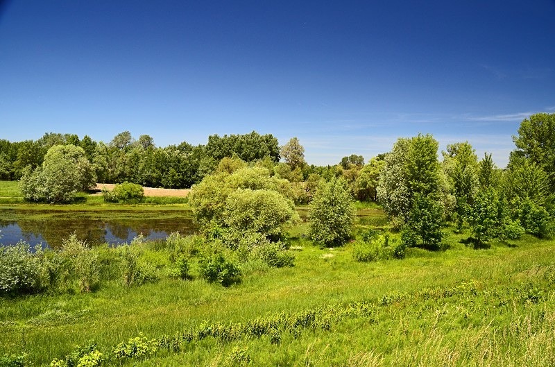 Latorica, Košice region, Slovakia - Slovakia