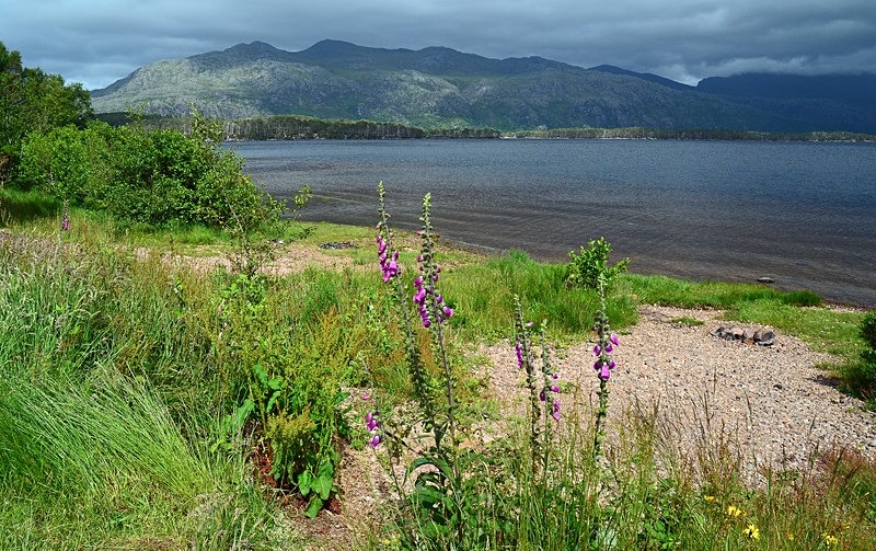 Loch Maree, Wester Ross - Lakes and lochs