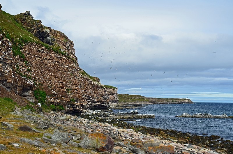 Flåget, Ekkerøy, Varanger peninsula, Troms og Finnmark, Norway - North Norway