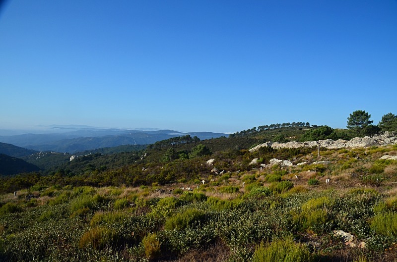 Montes de Jimena de la Frontera, Andalucia, Spain - South Spain - September 2013