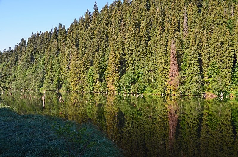 Lacu Roșu, Harghita County, Romania - Romania