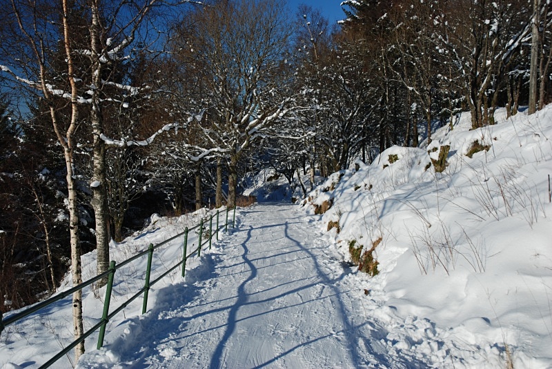 Fløyfjellet, Bergen - Bergen and Oslo
