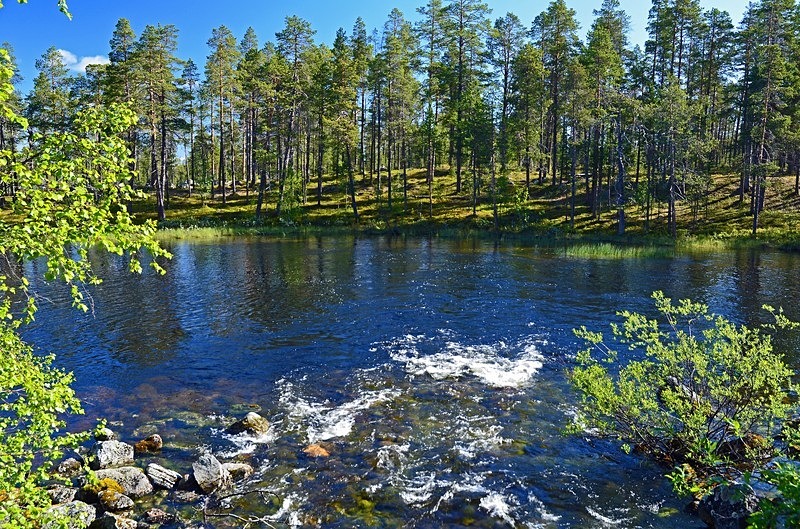 Pasvikdalen, Troms og Finnmark, Norway - North Norway