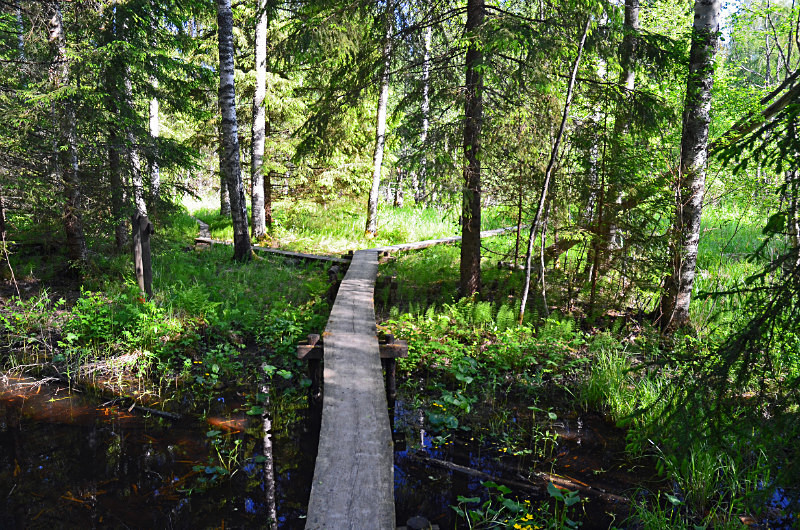 Nuuksio National Park, Uusimaa, Finland - North east Finland