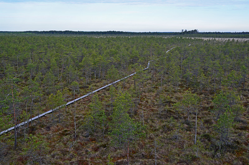 Alam Pedja Nature Reserve, Estonia - Estonia