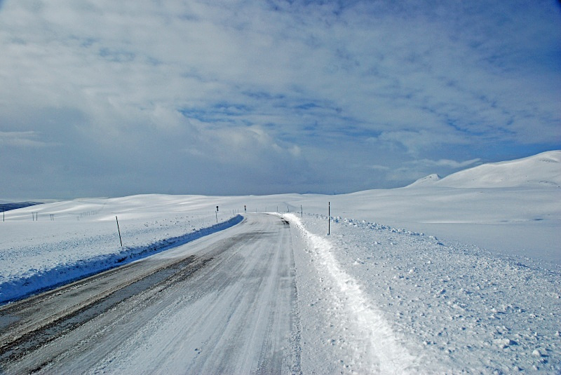 Kongsfjordfjellet, Varanger peninsula, Finnmark, Norway - Norway