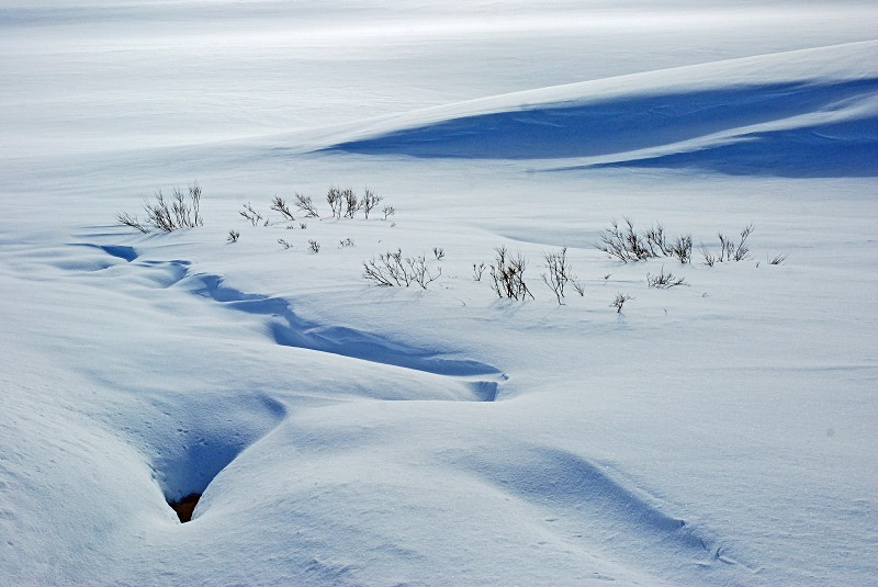 Kongsfjordfjellet, Varanger peninsula, Finnmark, Norway - Norway