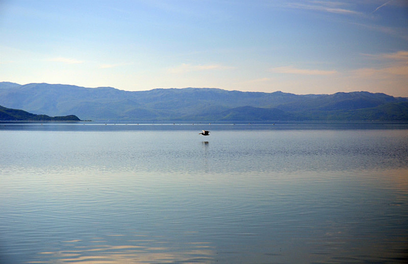 Great Prespa Lake (Megali Prespa), West Macedonia, Greece - West Macedonia