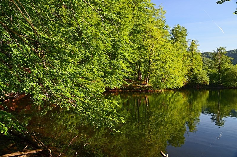 Morské oko, Vihorlat Mountains, Košice region, Slovakia - Slovakia