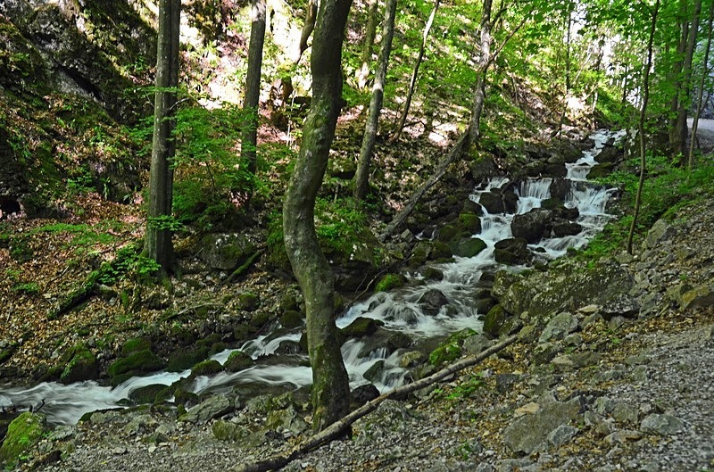 Slovak Karst, Košice region, Slovakia - Slovakia