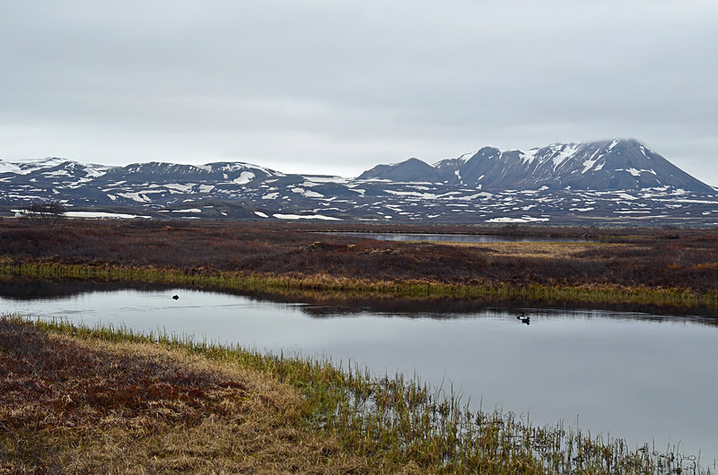 Lake Mývatn, north east Iceland - North east Iceland