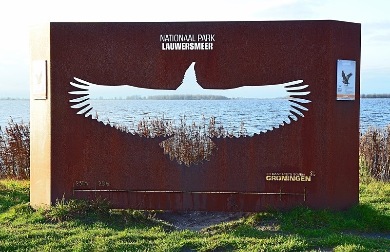 Lauwersmeer National Park, Friesland Province, Netherlands - Netherlands - December 2019