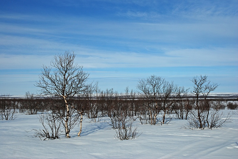 Kaamanen to Utsjoki, Lappi, Finland - Finland