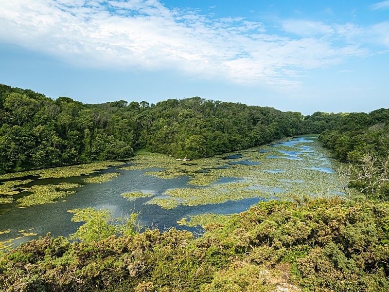 Bosherston Lily Ponds, Bosherton, Pembrokeshire - Lakes and lochs