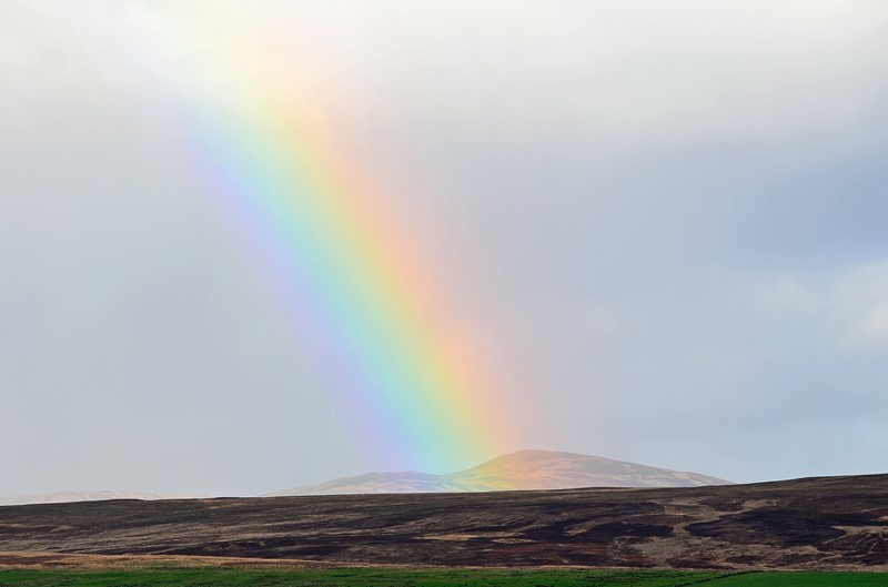  - Rainbows