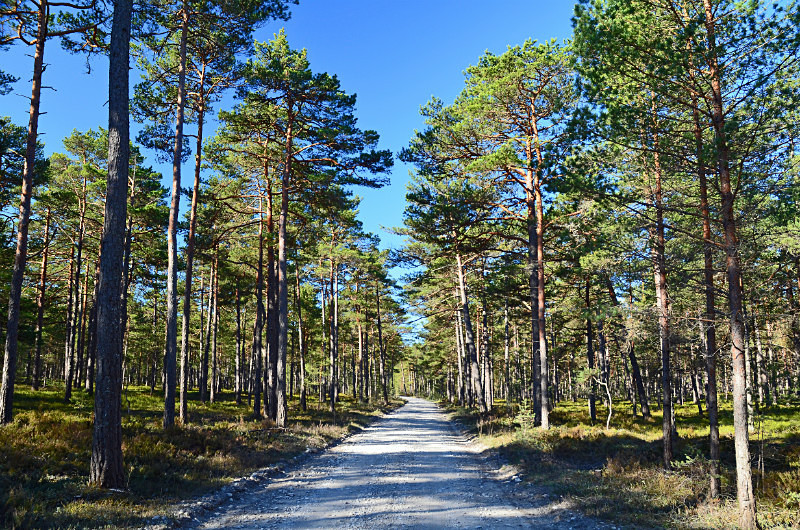 Nõva Recreation and Landscape Protection Area, Estonia - Estonia
