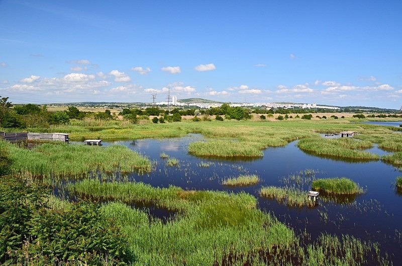 BSPB Poda Protected Area, Burgas Province, Bulgaria - Bulgaria