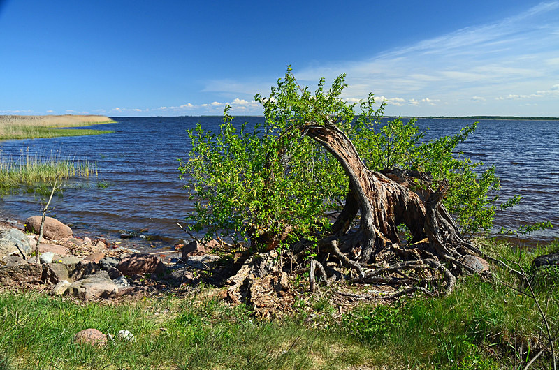 Lake Peipus, Estonia - Estonia