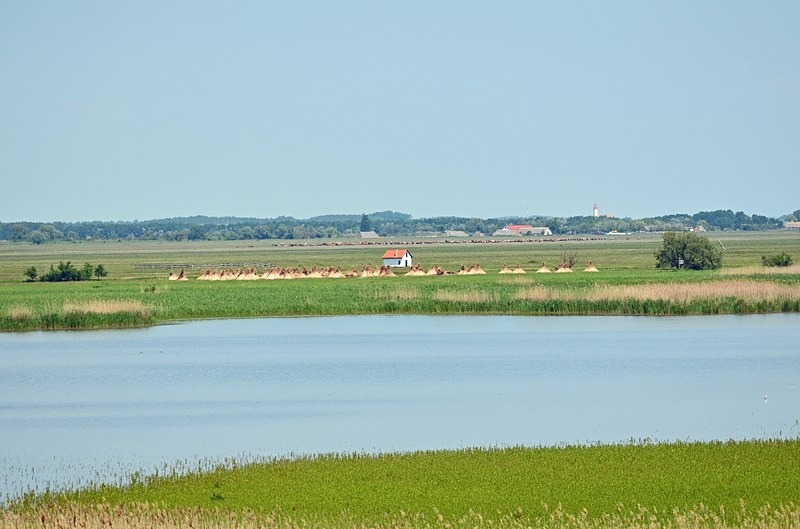 Hortobágy National Park, Hajdú-Bihar county, Hungary - Hungary