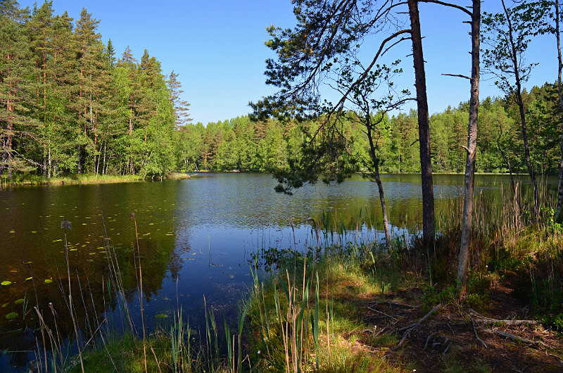 Nuuksio National Park, Uusimaa, Finland