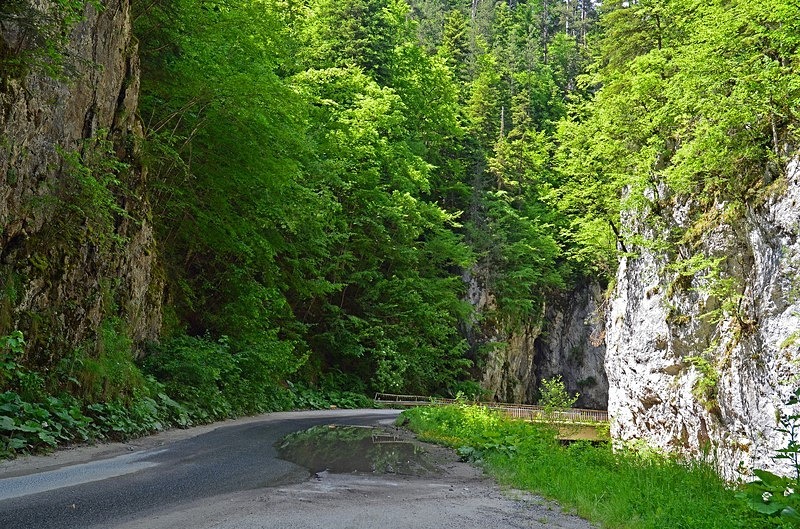 Western Rhodopes Mountains, Smolyan Province, Bulgaria - Bulgaria