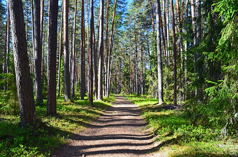 Taevaskoja, Estonia - Estonia