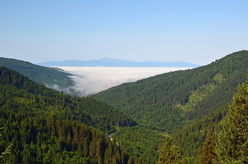 Eastern Carpathian Mountains, Harghita County, Romania - Romania