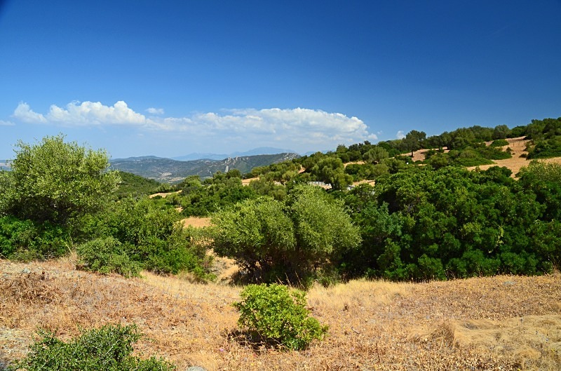 Los Alcornocales, Andalucia, Spain - South Spain - September 2013